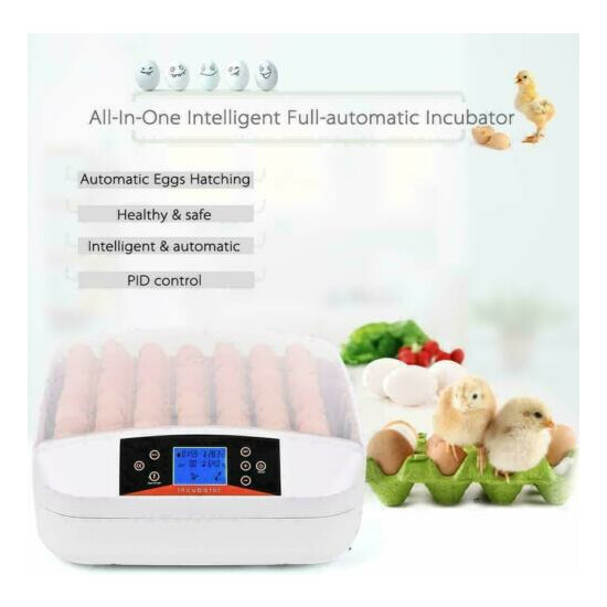 15/24/42 Egg Incubator Fully Automatic Digital Incubator Temperature Control USA image {2}