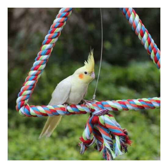 KINTOR Big Triangle Rope Swing Bird Toy Parrot Cage Toys Cages Conure M  image {7}