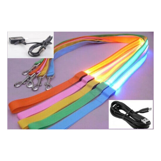 RECHARGEABLE 4FT GLOW LIGHT LEASH (1FT LED) LEAD FOR dog pet night safety flash image {1}