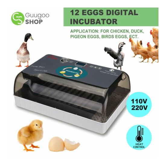 12 Digital Egg Incubator Chicken Hatcher Automatic Turning Temperature Control image {2}