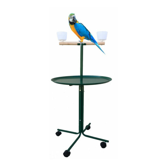 Large Play Stand With Metal Base Cups Parrot Amazon African Grey Macaw Cockatoo  image {1}