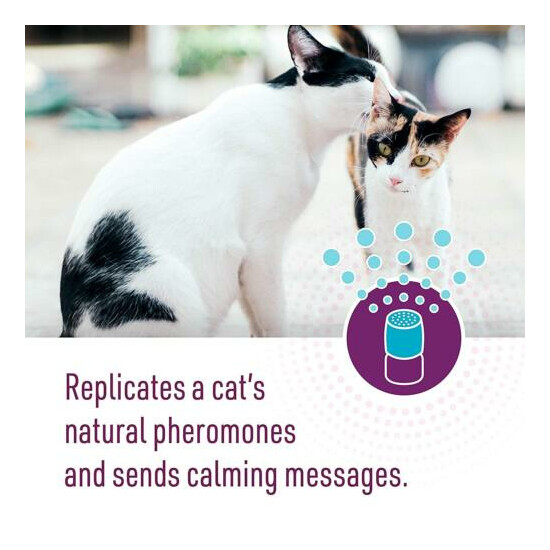6-PACK Comfort Zone Feliway 48 ml REFILL for Diffuser Cat Behavior Stress Relief image {6}