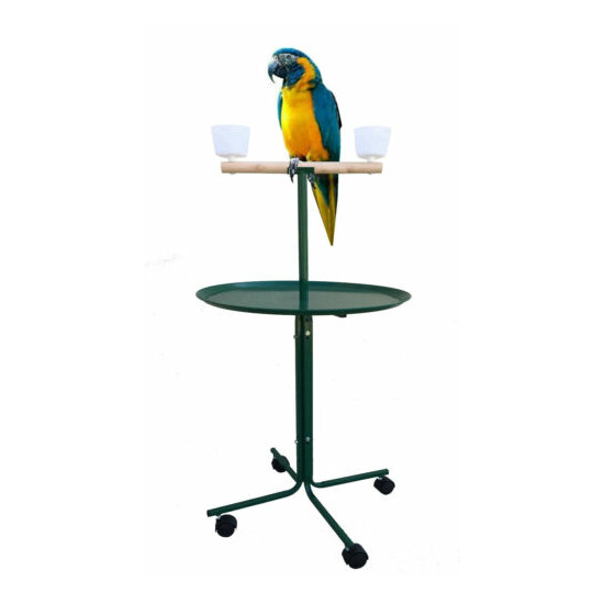 47" Large T-PlayStand Metal Base Cups Parrot Amazon African Grey Macaw Cockatoo  image {1}