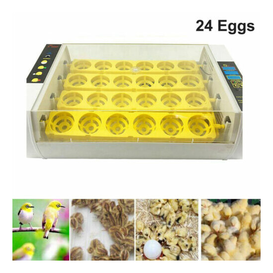 Automatic 4-24 Eggs Incubators Farm Poultry Incubator Chicken Duck Bird Hatcher image {1}