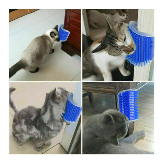2 Pack Cat Grooming Brush Wall Corner Groomers for Kitten with Catnip image {7}