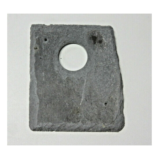 Bird nest box hole protector plate Welsh Slate 25 or 32 mm  image {3}