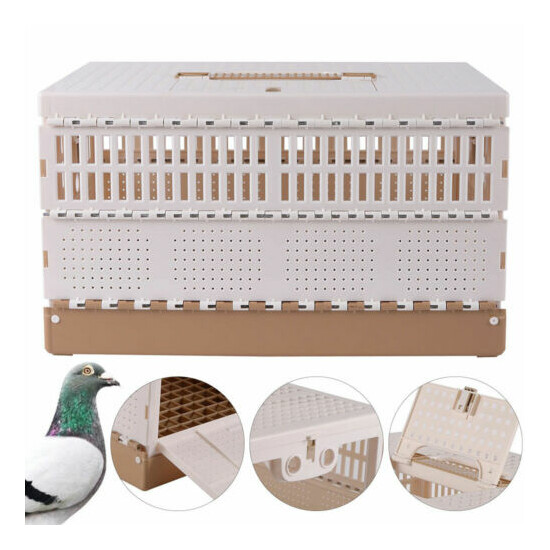 Bird Cage Racing Pigeon Folding Cage Carrier Box 2 Side Doors Poultry Pet Cage image {8}
