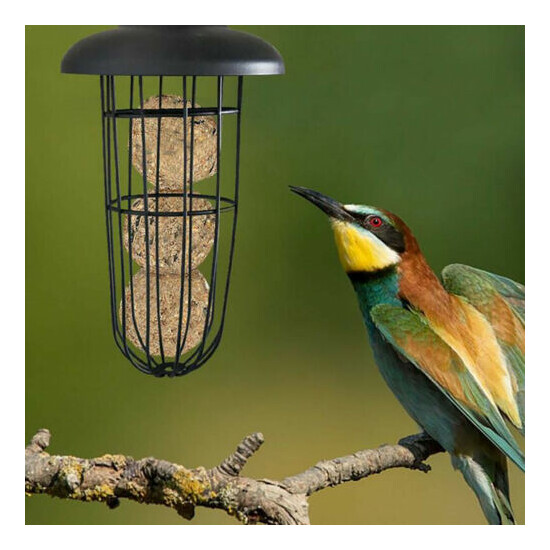 7.8''Hanging bird feeder garden wild seed container anti-lantern shape outdoor image {4}