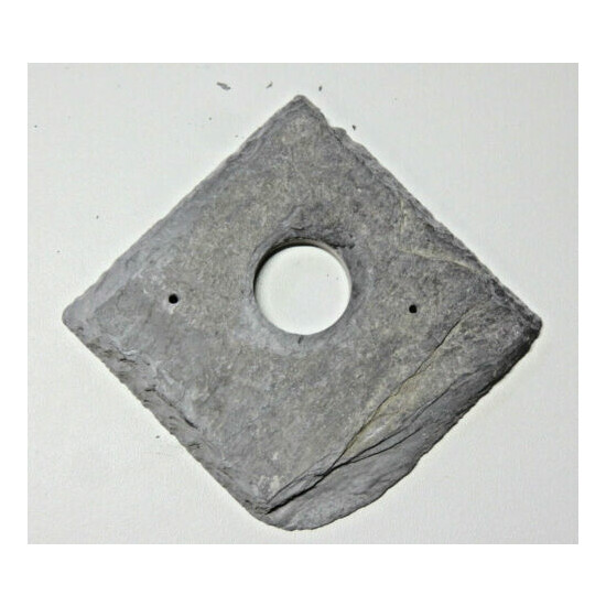 Bird nest box hole protector plate Welsh Slate 25 or 32 mm  image {1}