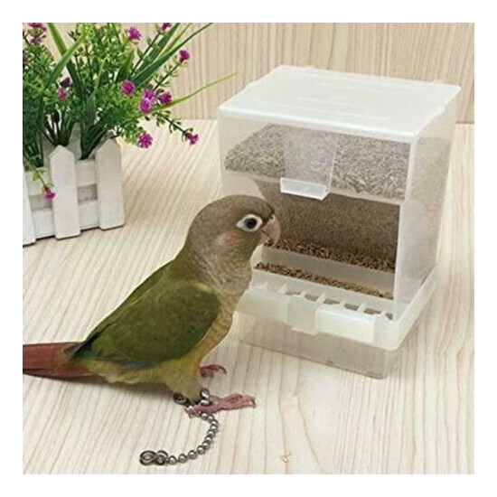 Bird Cage Auto Food Feeders Automatic European No More Mess image {4}