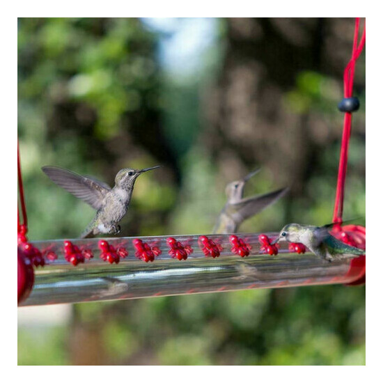 40cm Easy to Use Hummingbird Feeder w/ Hole Birds Feeding Pipe Outdoor Portable image {1}