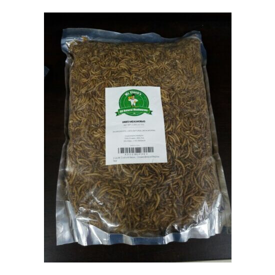 Mr. Cluck's All Natural Mealworms 2lbs (32 oz) 100% Natural Mealworms Free SHIP image {1}