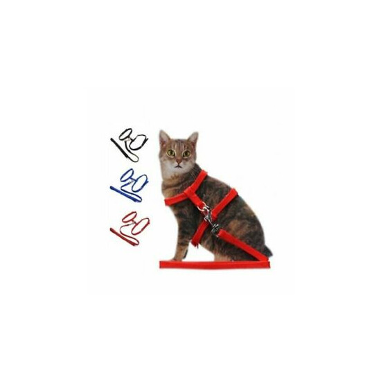 PET LIVING 1 x Brand New Cat Harness (Lead/Leash/Collar) (PET2946) image {1}