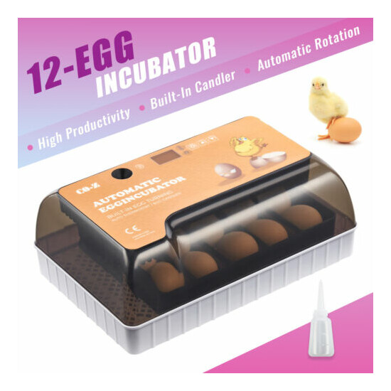 12 Egg Classroom Incubator with Humidity and Temperature Control and Egg Candler image {1}