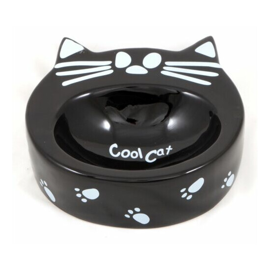 Cool Cat Food Water Bowl with Mat Set - Ceramic Handcrafted Dish Decorative Box image {1}