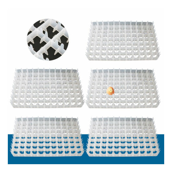5*8 Egg Tray Chick Incubator Universal Durable Plastic Poultry Incubator Trays image {1}