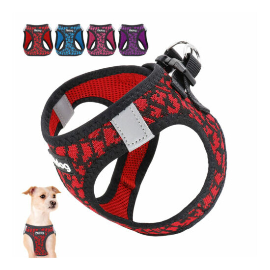Reflective Kitten Clothes Cat Walking Jacket Small Dog Harness for Toy Poodle image {1}
