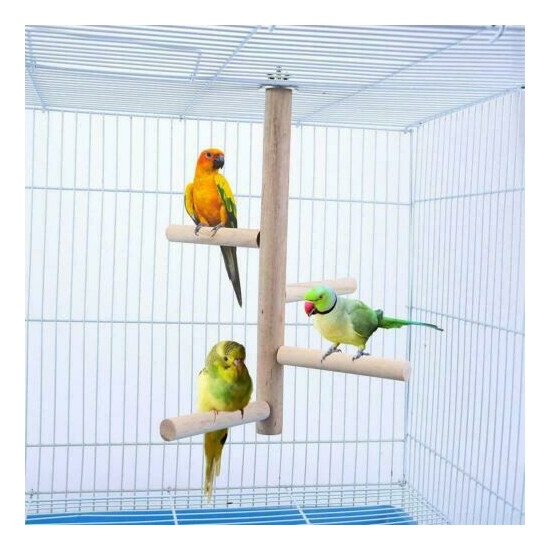 Wooden Parrot Budgie Bird Cage Perches Tree Branch Toys Grinding Hanging .FAST image {3}