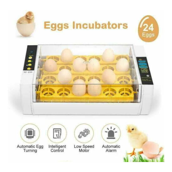 15/24/42 Egg Incubator Fully Automatic Digital Incubator Temperature Control USA image {5}