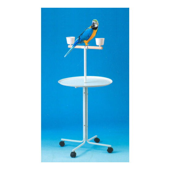 Large 46" Metal Base Parrot Amazon African Grey Macaw Cockatoo Play Stand Cups  image {1}