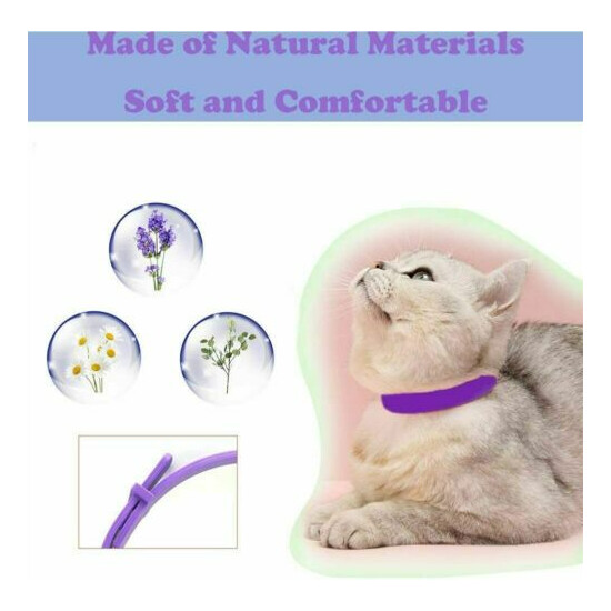 LUPUS 3 Pack Calming Collar for Cats, Cat Calming Collars, Natural Cat image {8}