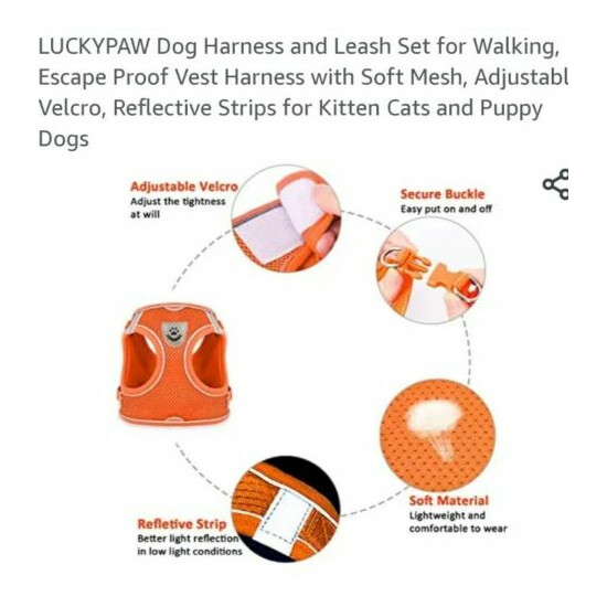 Dog Harness and Leash Set for Walking, Style Vest Harness with Soft Mesh, image {3}