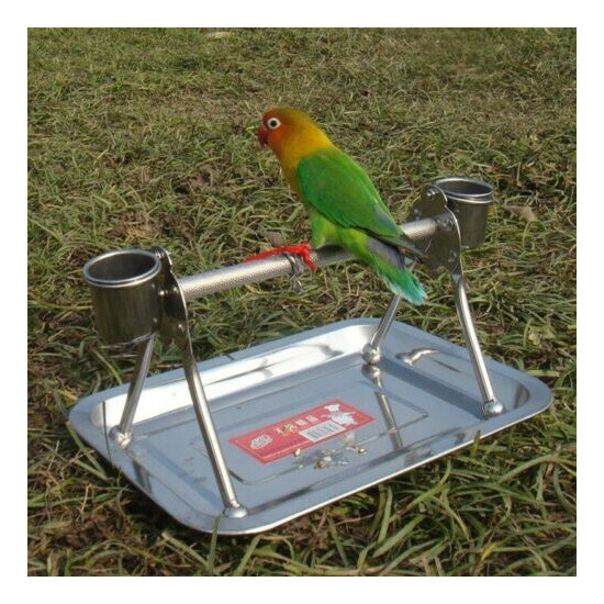 Parrot Activity Center Perch Bird Play Stand Toy Stand Portable Stainless Steel  image {2}