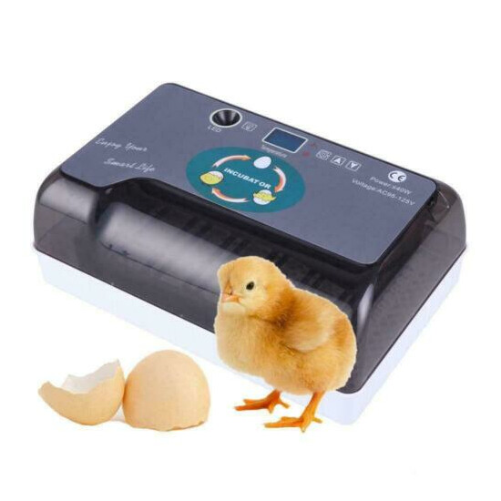 Fully Automatic Egg Incubator Auto Turning Small Digital Poultry Hatcher Machine image {3}