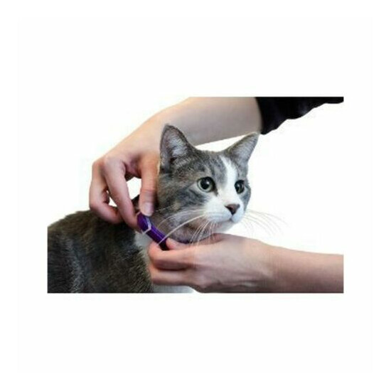 SENTRY Calming Collar CAT Good Behavior Pheromone 3 Pack image {6}