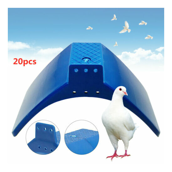 20 Pack Pet Dove Rest Stand Frame Dwelling Pigeon Perches Birds Roost Supplies image {3}