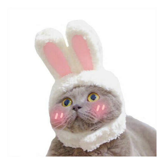 Funny Pet Dog Cat Cap Costume Warm Rabbit Party Christmas Cosplay Photo Props image {1}