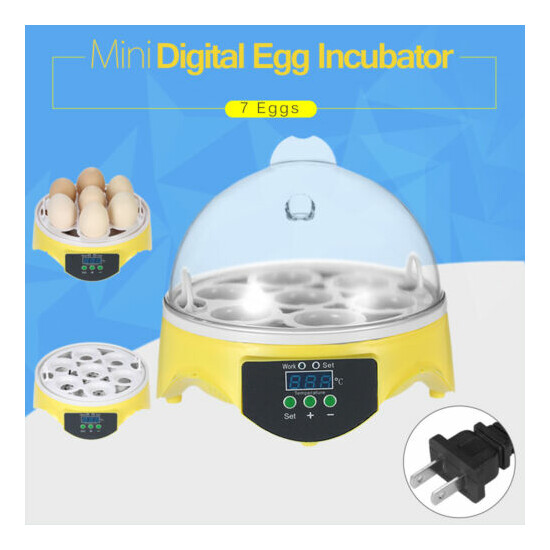 Eggs Incubator Digital Auto Chicken Poultry Bird Quail Clear Hatcher Bird I5V6 image {3}