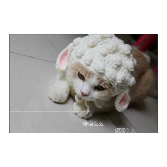 Pet Kitten Woolen Cap Knitted Cosplay sheep Cap For Cat Holiday Party Accessory image {2}