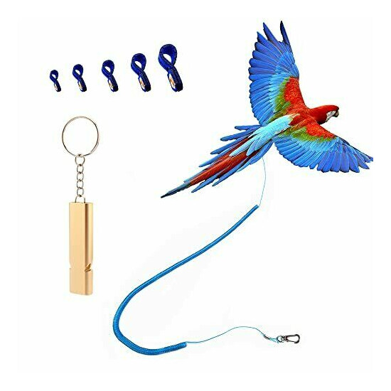 Parrot Bird Harness Leash Anti-bite Outdoor Blue Flying Training Rope with  image {1}