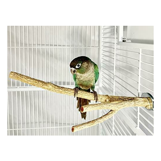 Birds LOVE Small Bottlebrush Wood Cage Perch image {2}