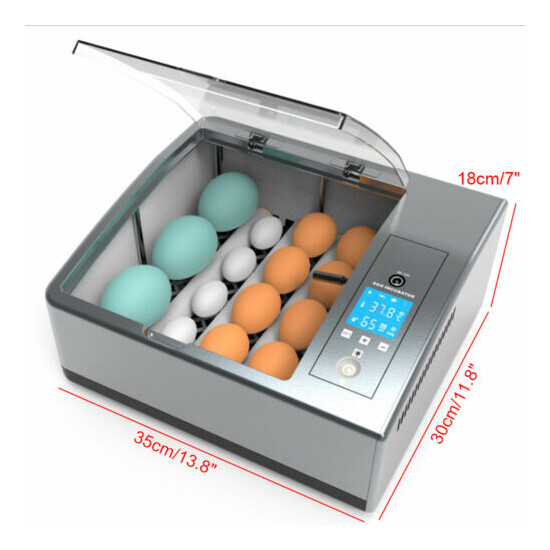 Automatic Smart Household Mini Chicken Egg Water Bed Incubator Box for 16 Eggs image {2}