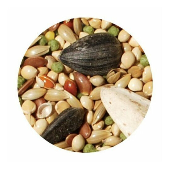 SmartHeart Cockatiel & Lovebird Bird Food Enhanced Vitamins & Minerals 1 kg  image {2}