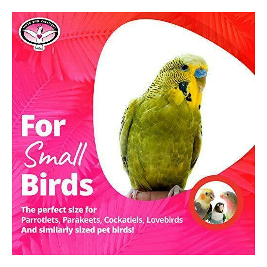 Super Bird Creations SB473 Sheltering Peekaboo Perch Tent with Colorful Plastic image {2}