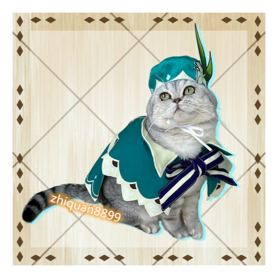 Game Genshin Impact Venti Little Cat Clothes Cloak Coat Hat Pet Cosplay Uniform image {2}