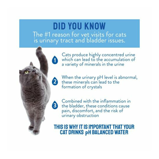 CATWATER by VETWATER | ph-Balanced and Mineral-Free Cat Water | Clinically Pr... image {4}