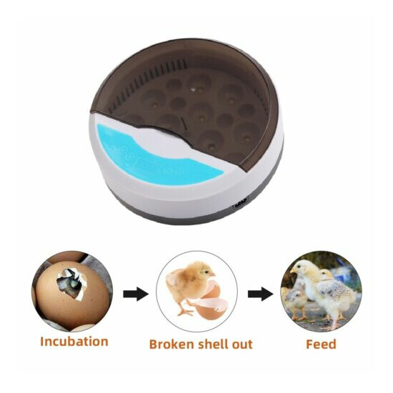 9 Eggs Automatic Incubato with Led Lamp Digital Poultry Hatcher Egg Turning USA image {2}