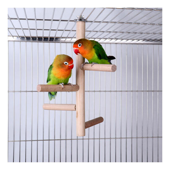 Parrot Bird Perch Toys Wooden Activity Branches Climbing Stairs Grinding Stick image {6}