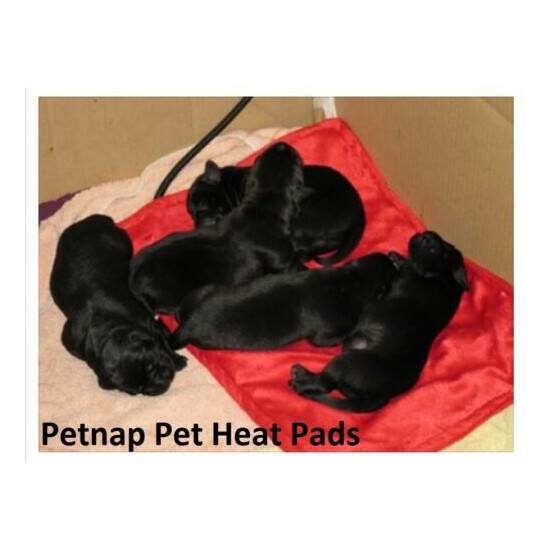Dog Heated Electric Blanket, Cat Bed, Pet Mat, Whelping, Puppy HEAT PAD 33x44cm image {2}