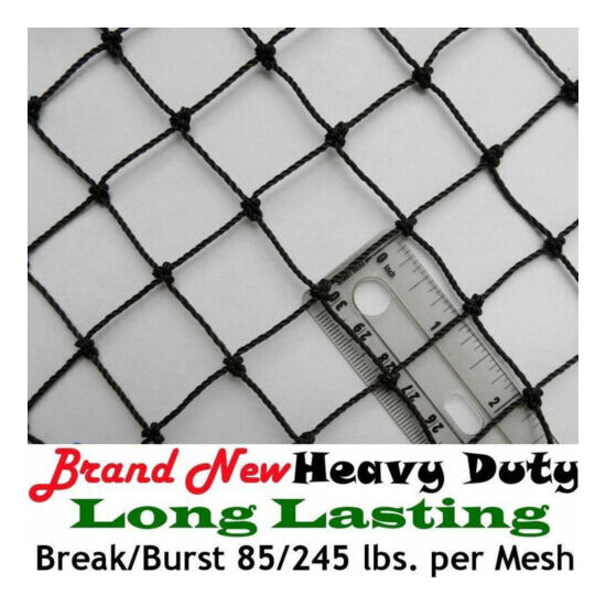 Poultry Netting 25' x 25' 1" Heavy Knotted Aviary Nets Anti Bird Pheasant Net image {2}