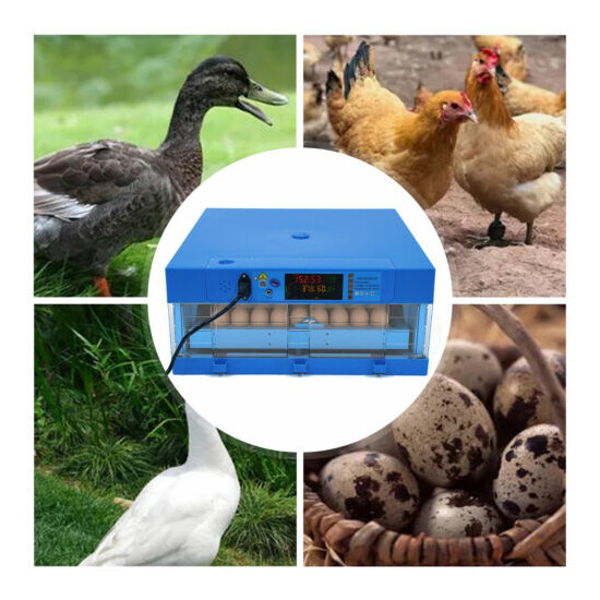 64 Eggs Incubator Digital Automatic Turner Hatcher Chicken Temperature Control image {1}