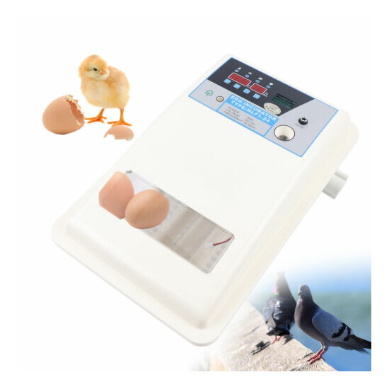 New Automatic 24 Digital Chick Bird Egg Incubator Hatcher Temperature Control image {4}