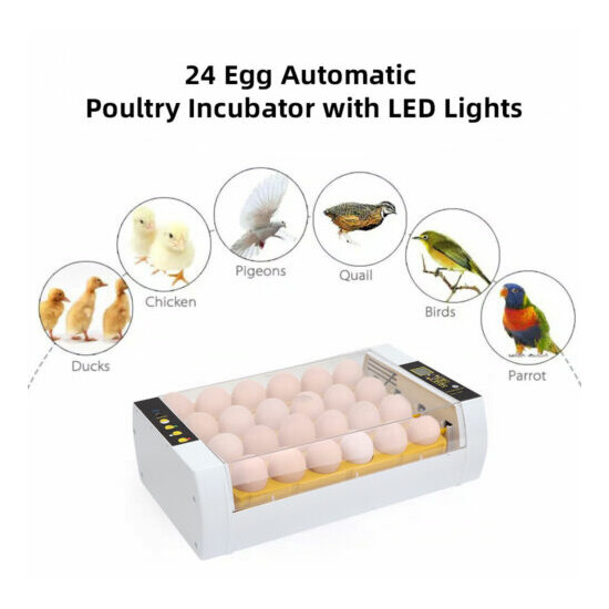 Egg Incubator 24 Egg Fully Automatic Poultry Incubators LED Light Injector image {4}