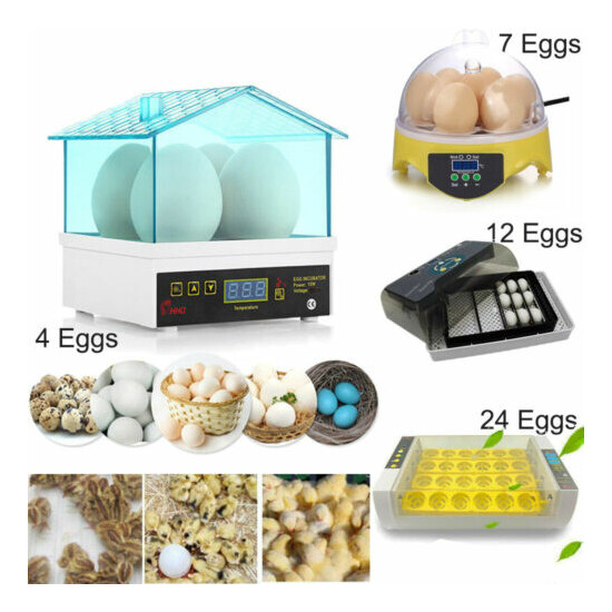 Automatic 4-24 Eggs Incubators Farm Poultry Incubator Chicken Duck Bird Hatcher image {2}