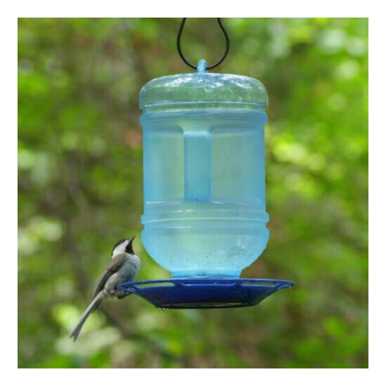 Bird Water Bottle Feeder Wild For Birds Variety Drink Hanging - New image {3}