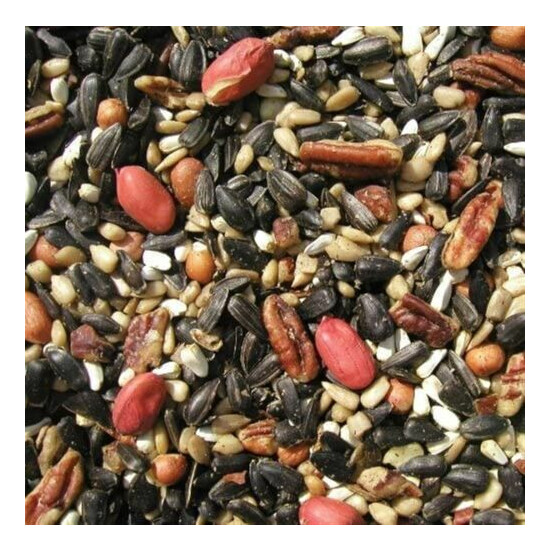 Cole's SF20 Special Feeder Bird Seed, 20-Pound, 4 Pack image {2}